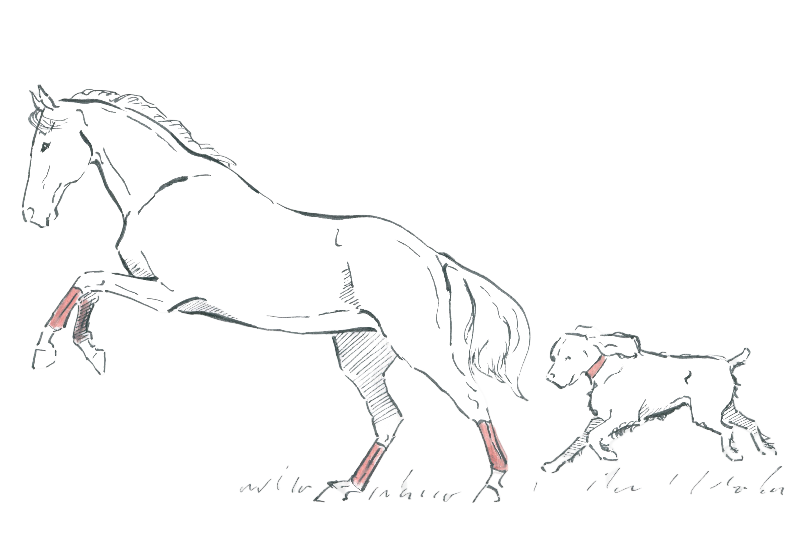 Bunbury_11_2025_009T