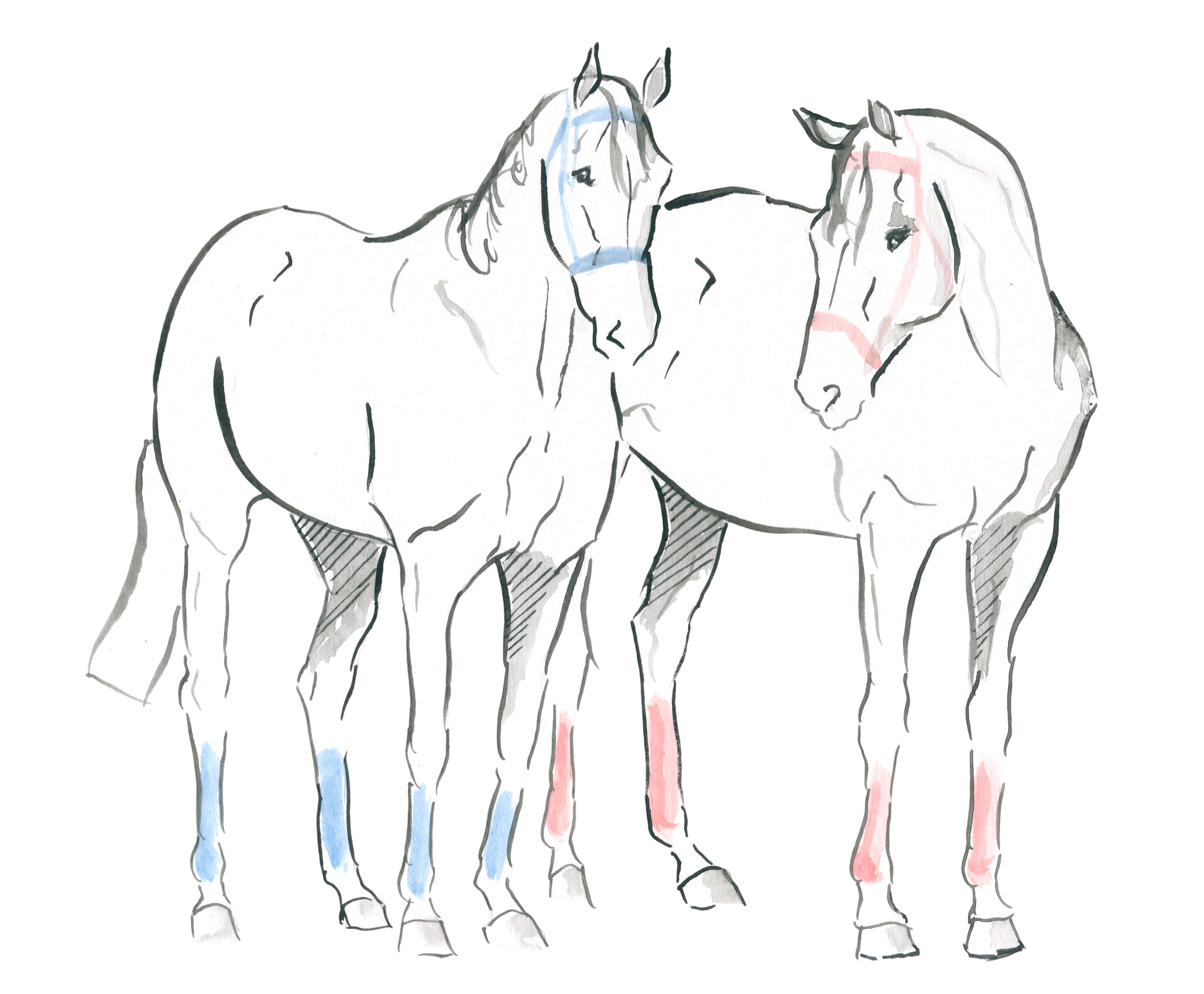 Bunbury_11_2025_010T