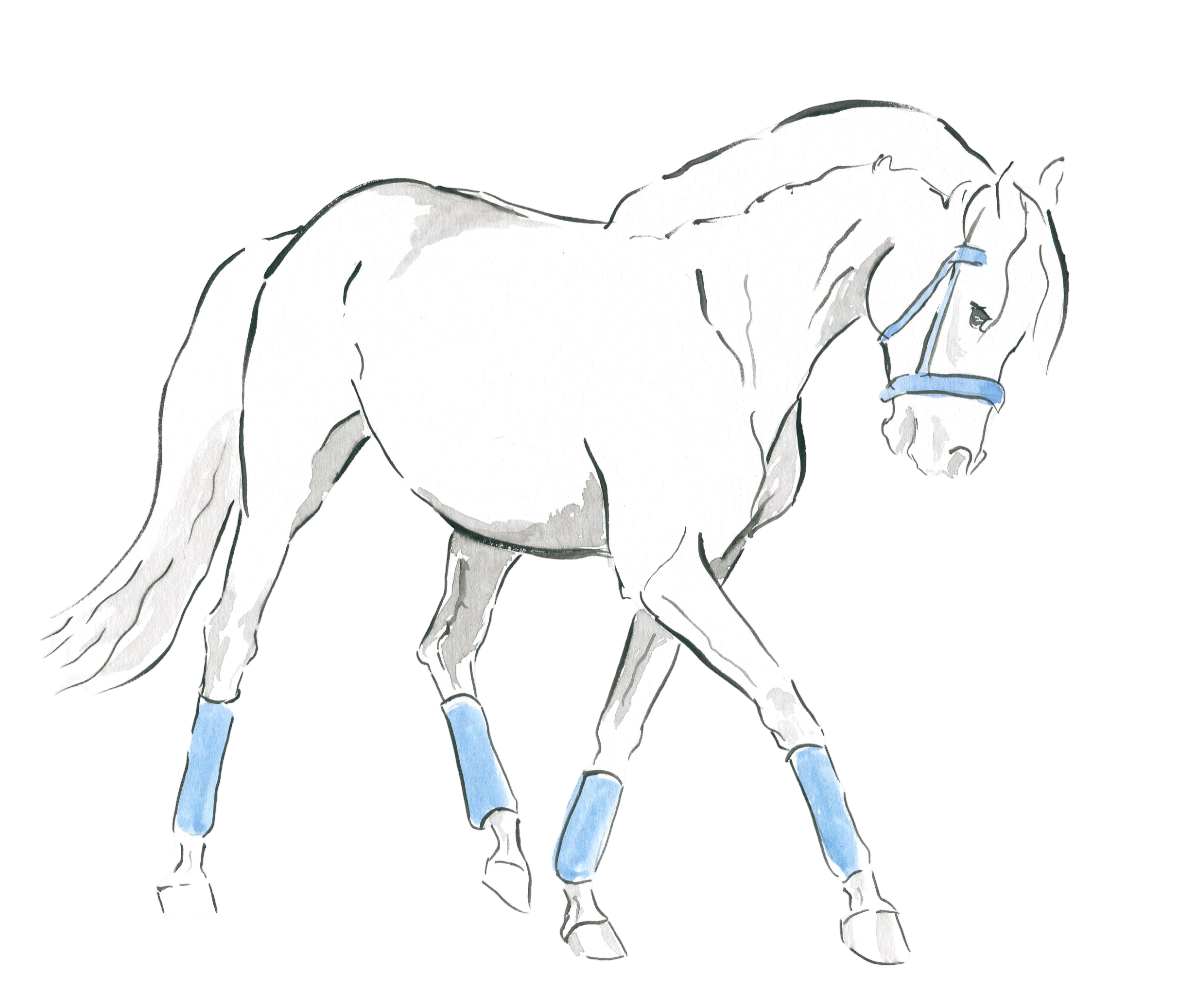 Bunbury_11_2025_014T